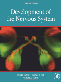 Development of the Nervous System, 4/Ed