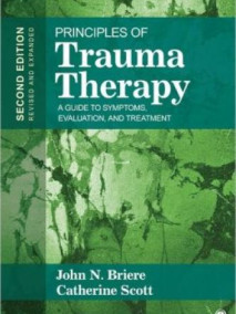 Principles of Trauma Therapy: A Guide to Symptoms, Evaluation, and Treatment, 2/Ed
