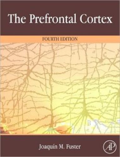 Prefrontal Cortex, 4/Ed