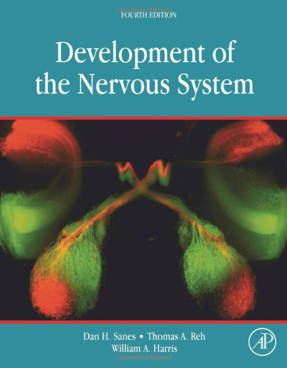 Development of the Nervous System, 4/Ed