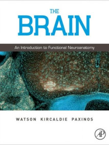 Brain: An Introduction to Functional Neuroanatomy